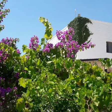 Masseria Soleterra *